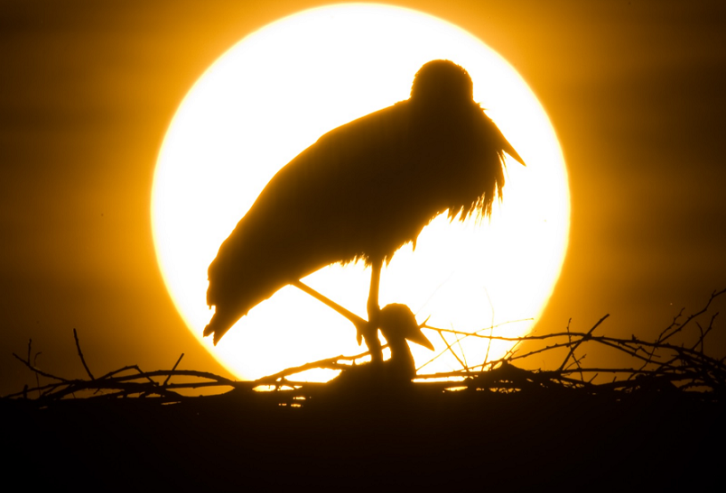 چشم به راه نوری شب افروز