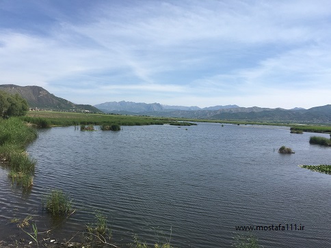 دریاچه زریوار مریوان