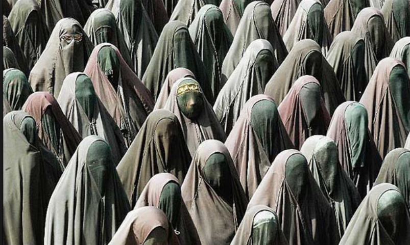 وحدت یا یک سان شدن کدام 