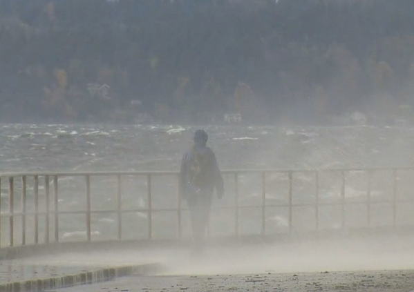 حقیقت زندگی جز ایستادن و تماشا کردن نیست