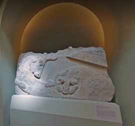 نبرد بی پایان انسان برای زندگی