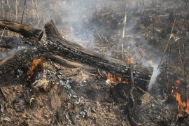 سوخت ریشه ی منِ انسانُ انسانیت من