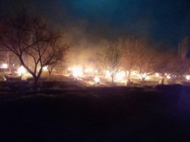 کشاورزان دیشب هر چه در چنته داشتند رو کردند