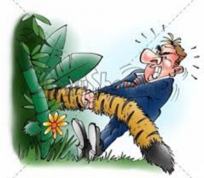 تهور نهفته در دلِ ناچیز بی چیزها، مرعوبم می کند