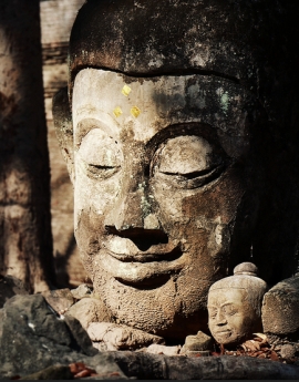 با این قافیه ها، زندگی باز خواهد ایستاد