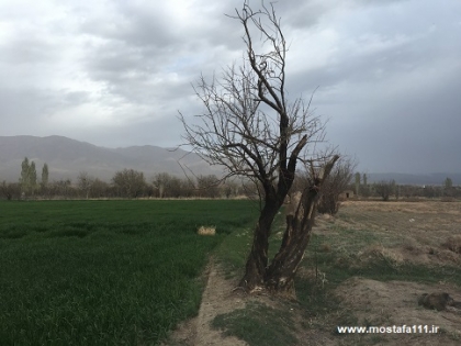 طبیعت و تغییر، یادداشتی بر 13 فروردین و سیزده بدر 1402