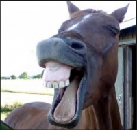 کمی بخندیم و بخندانیم، جوک و طنز شاهرودی