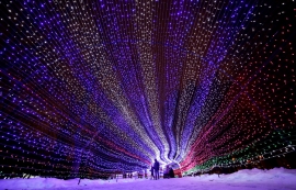 این نور رهزن را بتاب، بار دگر بر روی ما