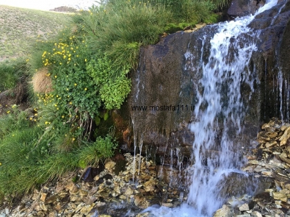 7th) صعود 1400، به چکاد توچال از مسیر چشمه نرگس