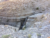 ذهن و دلم به یاد تو پر می کشد زمن