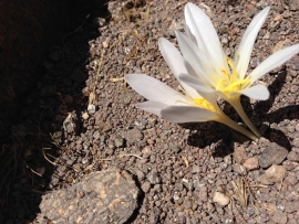 پیش مقدمه ایی بر صعود به قله سات