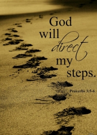 رگباری بهاری، در دل زمستانی سرد و آفتابی