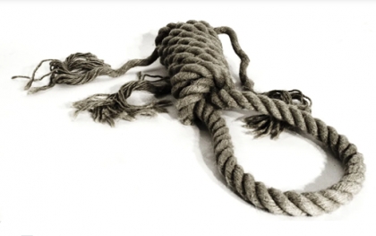 شرکای جرم، خود را کنار می کشند، بار سنگین تقصیر می کشد مجرمی بر دار سحرگاهی