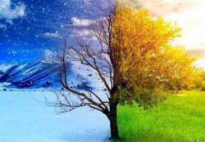 بهار امید در سبزی نوروز سال 1398 مبارک