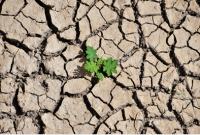 سیزده فروردین، روز دریافتن اینکه انسان تنها بخشی از طبیعت است