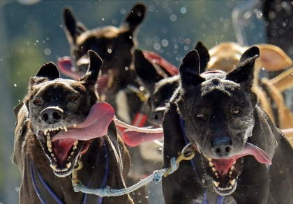 دالان تک ورود و خروجی که همه در آن رونده اند