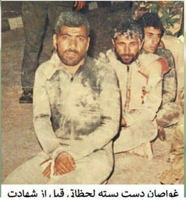 جنگ، سرطانی عارض شده بر بدنه انسانیت