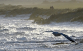 غمپاره هاست، که کوچه به کوچه، پاسدار گشته است