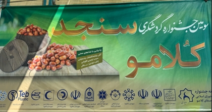 جشنواره های تولید محور، تکیه بر ظرفیت جامعه و مردم، برای حل معضلات ایران