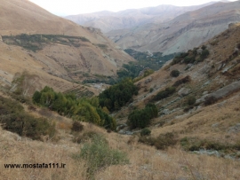 گزارش یازدهمین صعود به توچال از مسیر شهرستانک