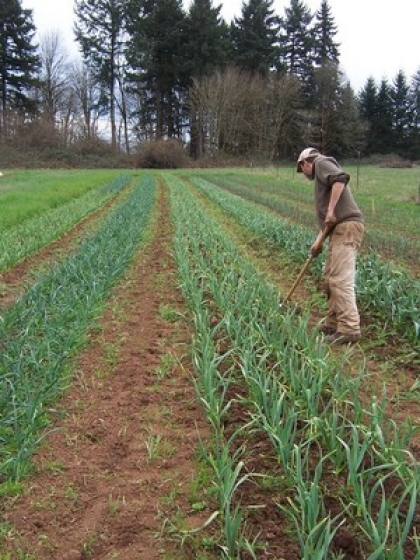 روزت مبارک پدر، افتخار عمری انسان زیستن مبارکت باد