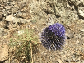 6th) صعود 1400، به چکاد توچال از مسیر کلکچال خط الراس