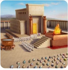 ناامیدیم از خدایانِ زمین و آسمان