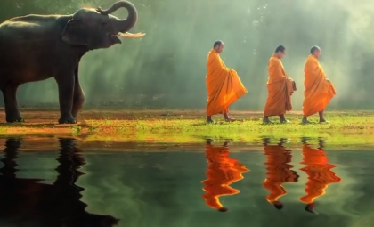 سراب بود هر آنچه خواب دیده ام به شب