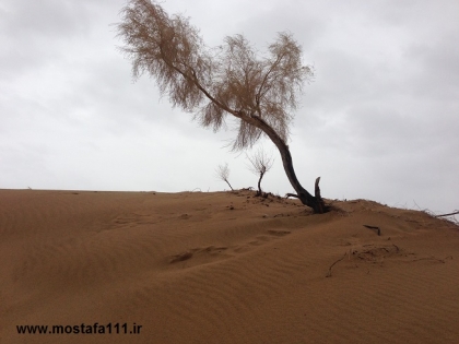 طرود بندرگاهی میان تلاطم زلزله های شدید و کویر خشن