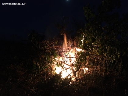 به کدام افق، به دنبال سپیده، نگاهم را وقف صبح کنم