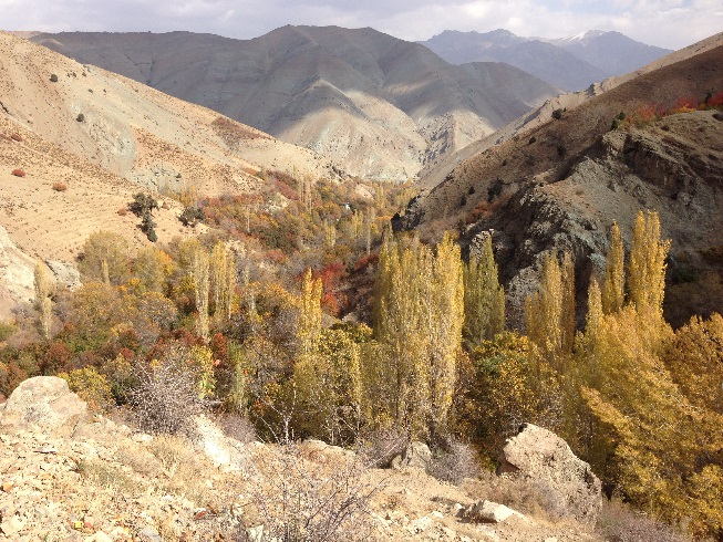 صعود به قله توچال از مسیر دره ایگل - طبیعت رنگارنگ دره ایگل