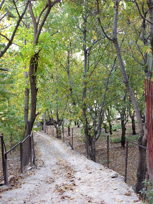 صعود به قله توچال از مسیر دره ایگل - نمایی از پاییز دره زیبای ایگل