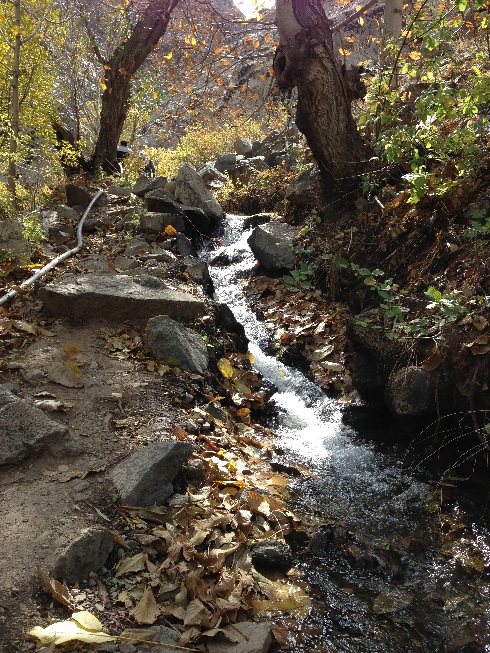 صعود به قله توچال از مسیر دره ایگل - نمایی از آب های جاری در دره زیبای ایگل