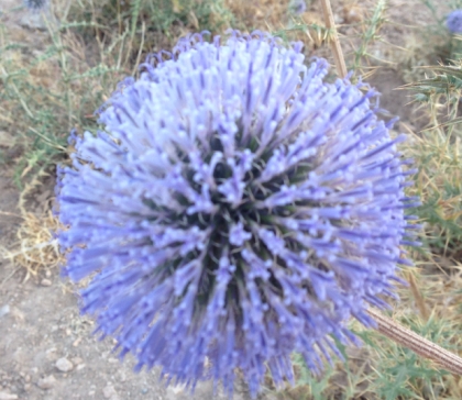 ‎روزنه ایی میان دل تو