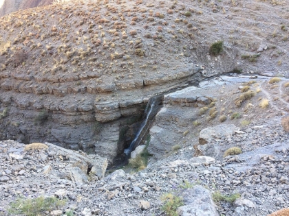 ذهن و دلم به یاد تو پر می کشد زمن